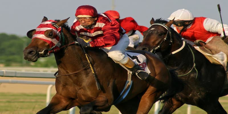 Các loại hình cá cược đua ngựa phổ biến